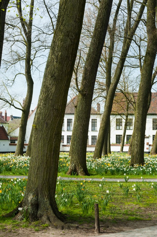 Bruges2011-29