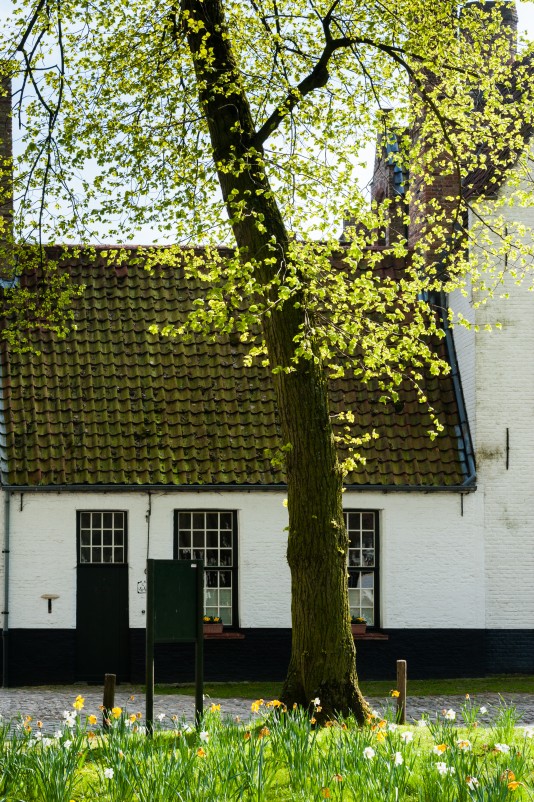 Bruges2011-33