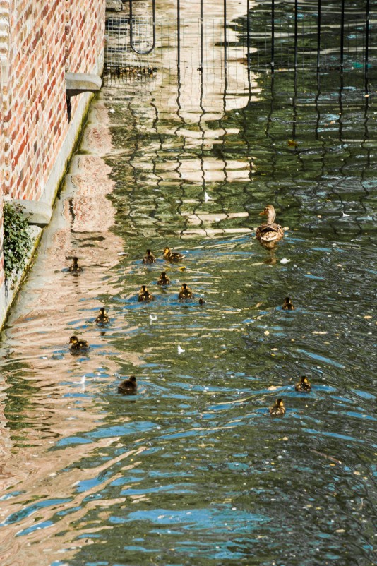 Bruges2011-34