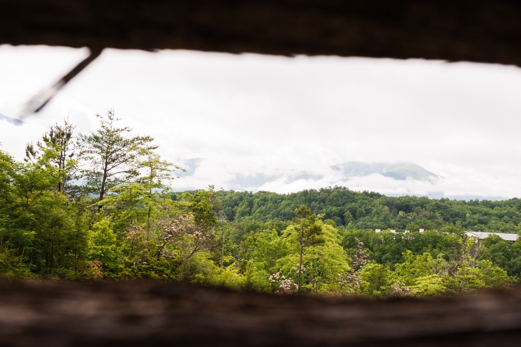 Tennessee2012_7392