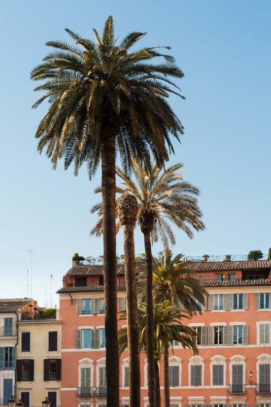 Rome2011_4744