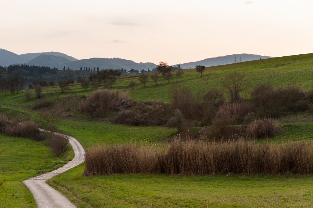 Tuscany2011_4472