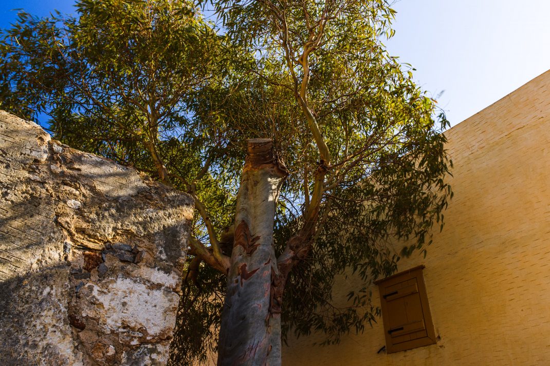 Greece2016-7802